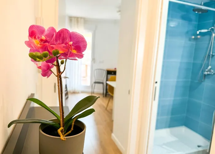 El Puente Del Pilar - Turistea *